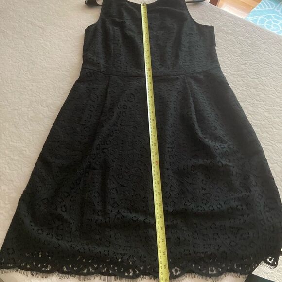 Black Lace Sleeveless Dress - Picture 9 of 10